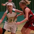 IMG 0238