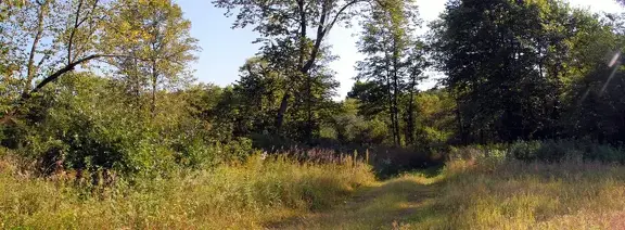 10094 path to brush site 1900x701