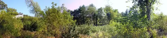 10098 above ampitheatre 1900x442