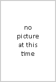 no picture at this time