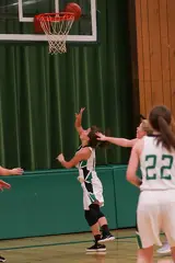 IMG 0311