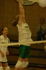 IMG 1395