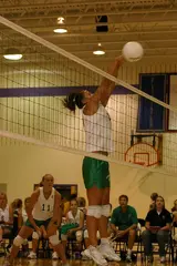 IMG 1353