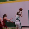 IMG 2339