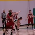 IMG 2281