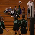 IMG 9724