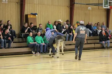 2499 IMG 4733 1600x1067